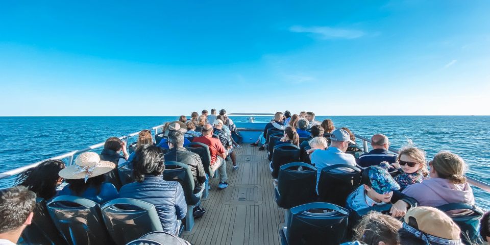 Portimão: Benagil Caves & Dolphins Watching with Biologist - Quick hits before you go