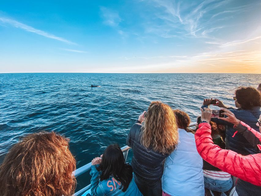 Portimão: Benagil Caves & Dolphins Watching with Biologist - What’s included (and what to pack) so you stay comfortable