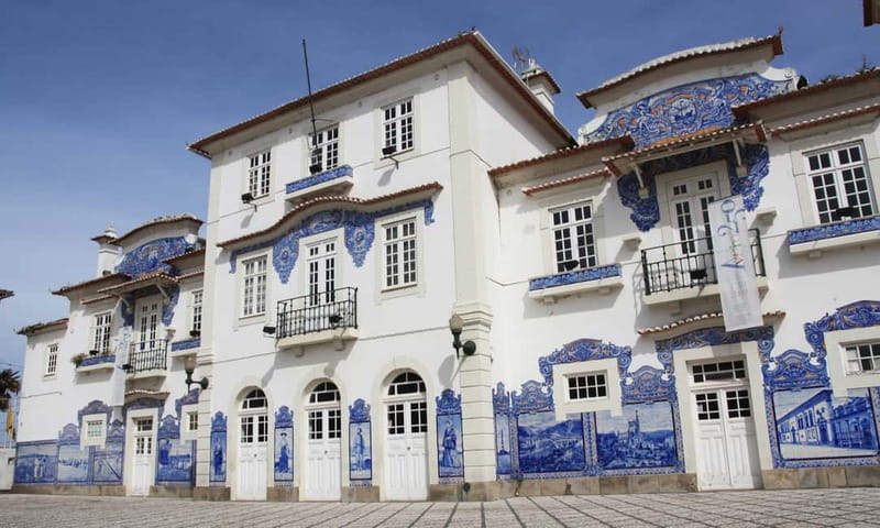 Porto: Aveiro, Cruise, Costa Nova & Capela da Pedra Full Day - Guides and group feel: why so many days land well