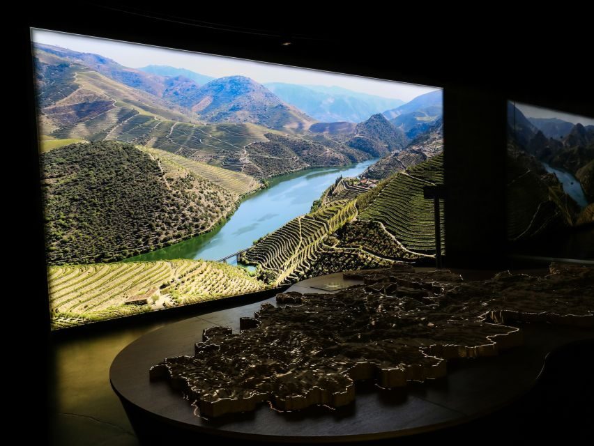 Porto: Cálem Cellar Tour, Interactive Museum & Wine Tasting - Practical Tips for a Smooth Hour in Vila Nova de Gaia