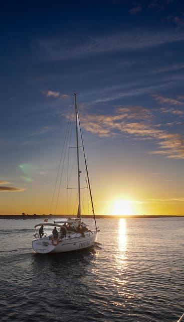 Porto: Charming Sailboat Cruise with Port Wine,Sunset Option - Moving Toward the Sea: Douro Estuary, Palm Trees, and Dolphins (If You’re Lucky)