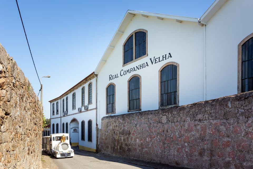 Porto: City Train Tour, River Cruise & Wine Cellar - Who Should Book This Porto Combo Tour