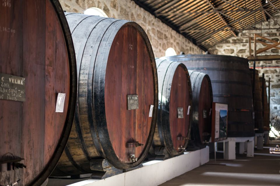 Porto: City Train Tour, River Cruise & Wine Cellar - A Few Smart Tips I’d Use Again