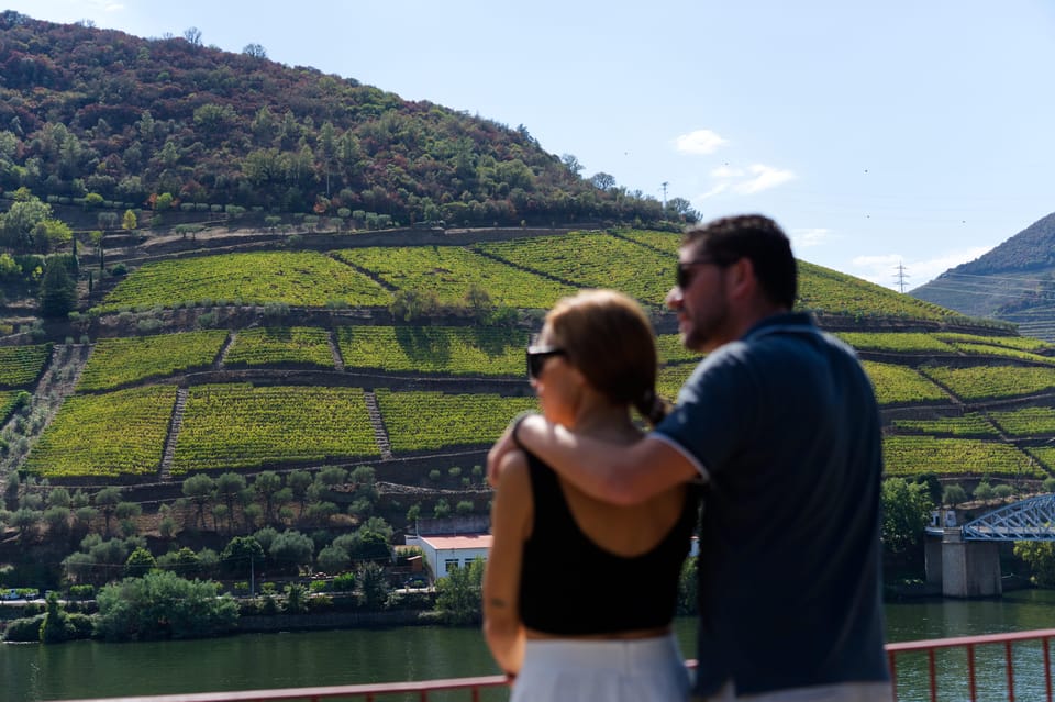 Porto: Douro Valley & Amarante Wine, Food & River Tour - Key reasons this tour works so well