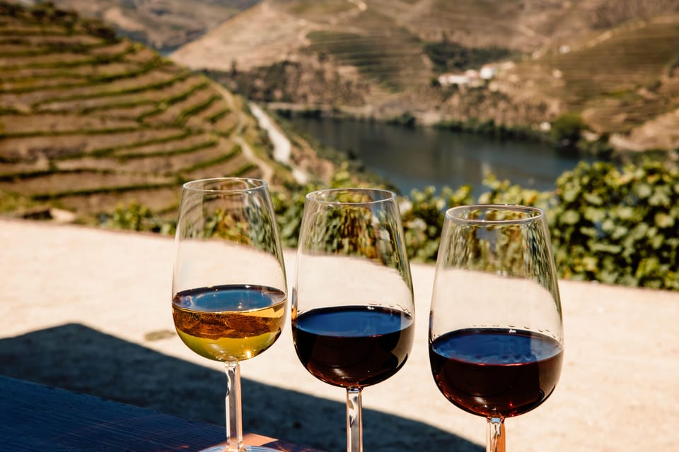 Porto: Douro Valley & Amarante Wine, Food & River Tour - N222 viewpoints: the photo stops you’ll actually care about