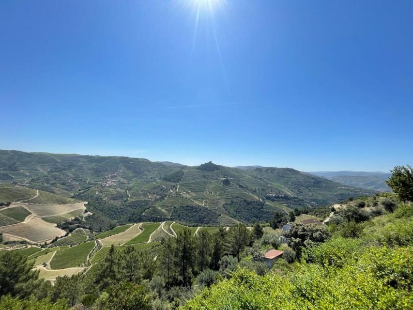 Porto: Douro Valley Tour with 2 Wineries, Lunch and Cruise - Key highlights you’ll feel all day
