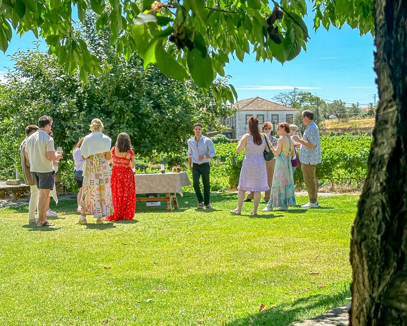 Porto: Douro Valley Tour with 2 Wineries, Lunch and Cruise - Trindade Metro Start: the easiest way to get out of Porto