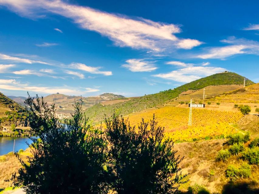 Porto: Douro Valley Tour with 2 Wineries, Lunch and Cruise - Pinhão and the Douro cruise: the relaxing part of the schedule