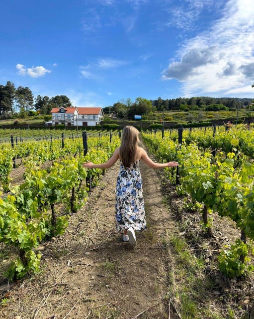 Porto: Douro Valley Tour with 2 Wineries, Lunch and Cruise - What you learn in Sabrosa: guided wine time, not just a visit