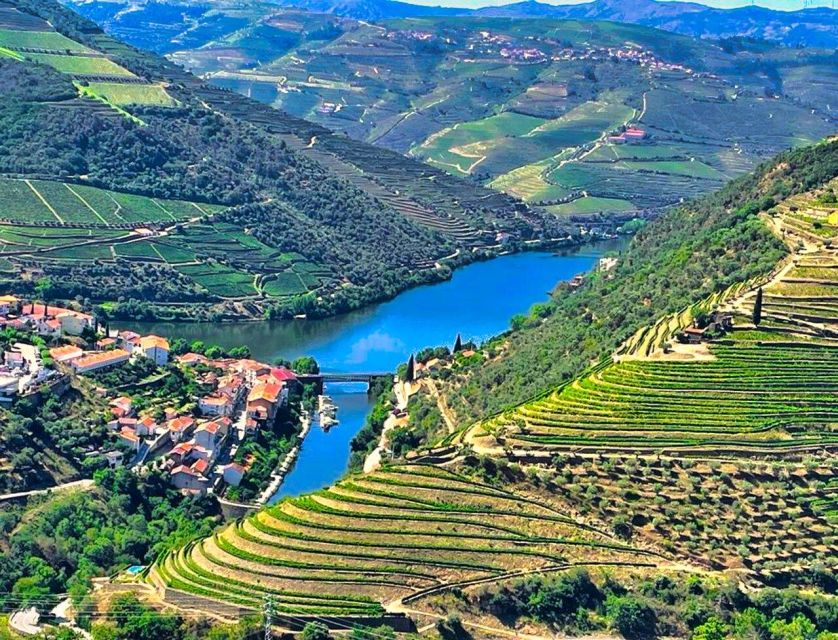 Porto: Douro Valley Tour with 2 Wineries, Lunch and Cruise - Price and value: why $117 can work well here