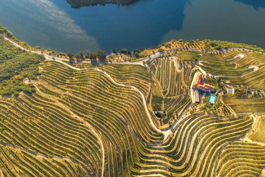Porto: Douro Valley Tour with Lunch, Boat Cruise & Tastings - Who this tour suits best