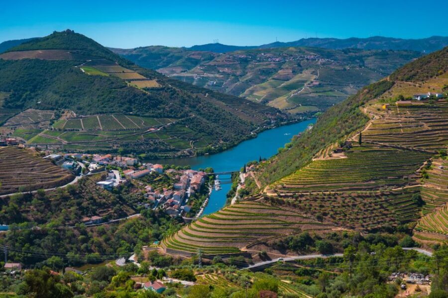 Porto: Douro Valley Tour with Lunch, Boat Cruise & Tastings - Pinhão tastings and the Douro River cruise you came for