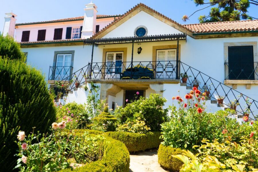 Porto: Douro Valley Tour with Lunch, Boat Cruise & Tastings - Olive oil tasting: a small stop that adds a lot