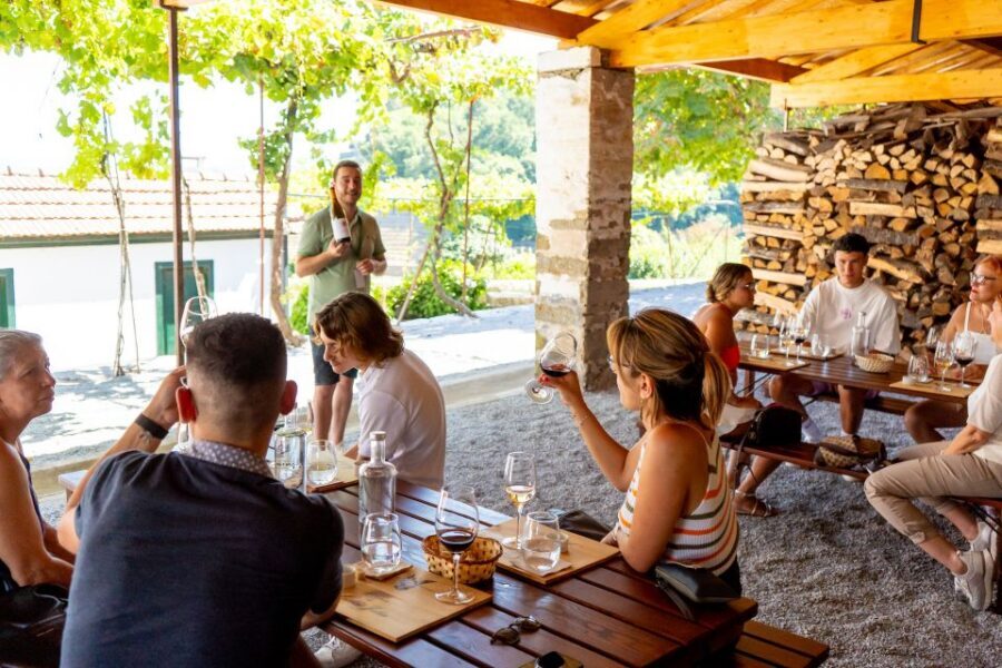 Porto: Douro Valley Tour with Lunch, Boat Cruise & Tastings - Régua, the N222 road, and why the photo stops matter