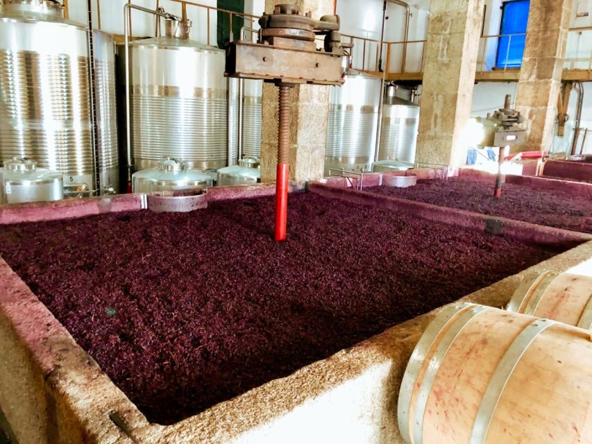 Porto: Douro Valley Tour with Wine Tasting, Cruise and Lunch - Who Should Book This Douro Tour (and Who Might Skip It)