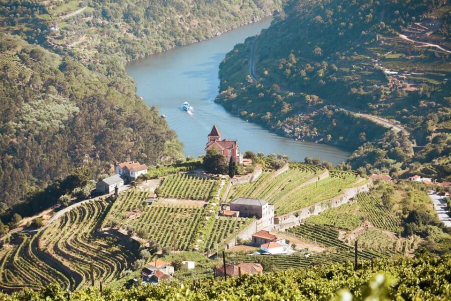 Porto: Douro Valley Tour with Wine Tasting, Cruise and Lunch - Portuguese Lunch in the Douro: A Break That’s Included for a Reason
