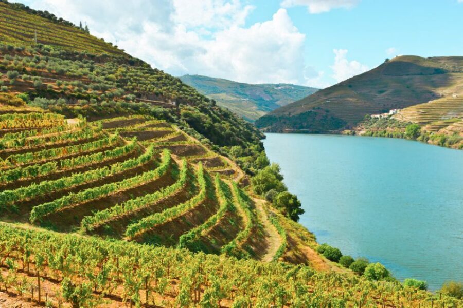 Porto: Douro Valley Tour with Wine Tasting, Cruise and Lunch - Pinhão One-Hour Boat Cruise: Best Views Per Minute