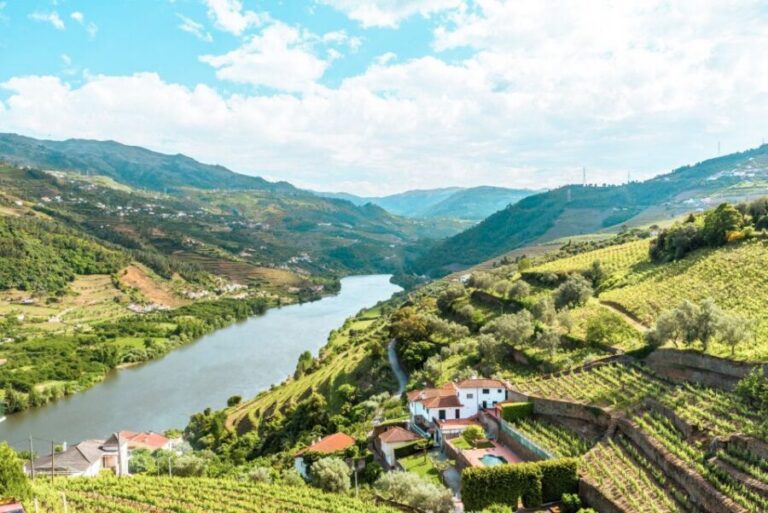 Porto: Douro Valley Tour with Wine Tasting, Cruise and Lunch - Winery Stop #1: Port Education With Real Tasting Time