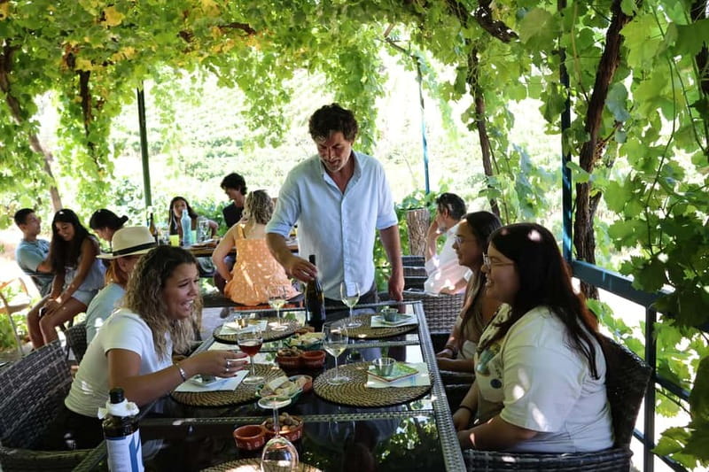Porto: Douro Valley Wine Tour with Tastings, Lunch & Cruise - Who This Tour Fits Best (and Who Might Want a Different Day)