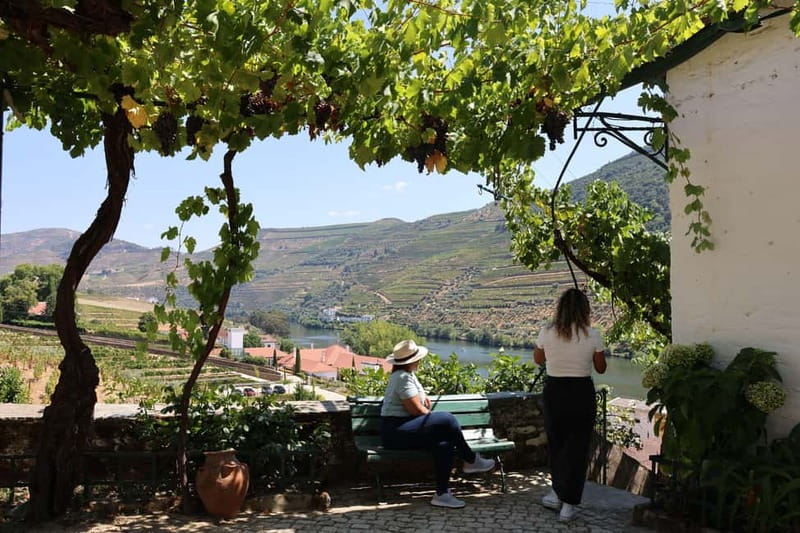 Porto: Douro Valley Wine Tour with Tastings, Lunch & Cruise - Second Winery and Cellar/Vineyard Visit: When the Wine Gets Personal