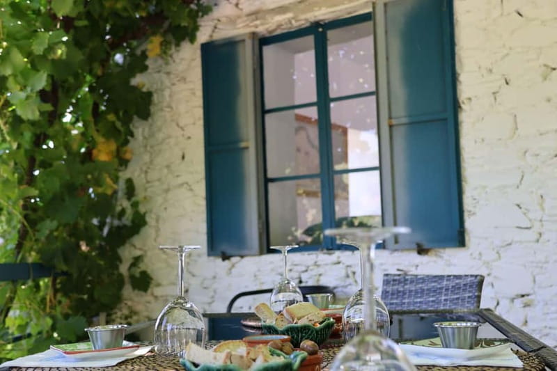 Porto: Douro Valley Wine Tour with Tastings, Lunch & Cruise - The Guide Makes the Driving: Names, Energy, and Group Size