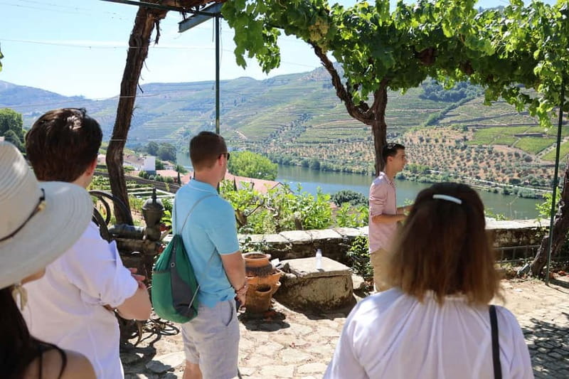Porto: Douro Valley Wine Tour with Tastings, Lunch & Cruise - Timing, Comfort, and What to Bring for the Valley Heat