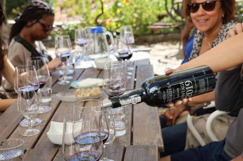 Porto: Douro Valley Wine Tour with Tastings, Lunch & Cruise - Winery Option 1 vs Option 2: Picking the Right Amount of Tastings