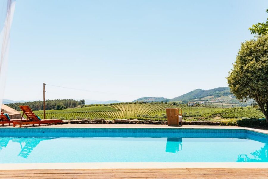 Porto: Douro Valley with Winery Lunch, Tastings & Cruise - Price and value: why $99 can work well here