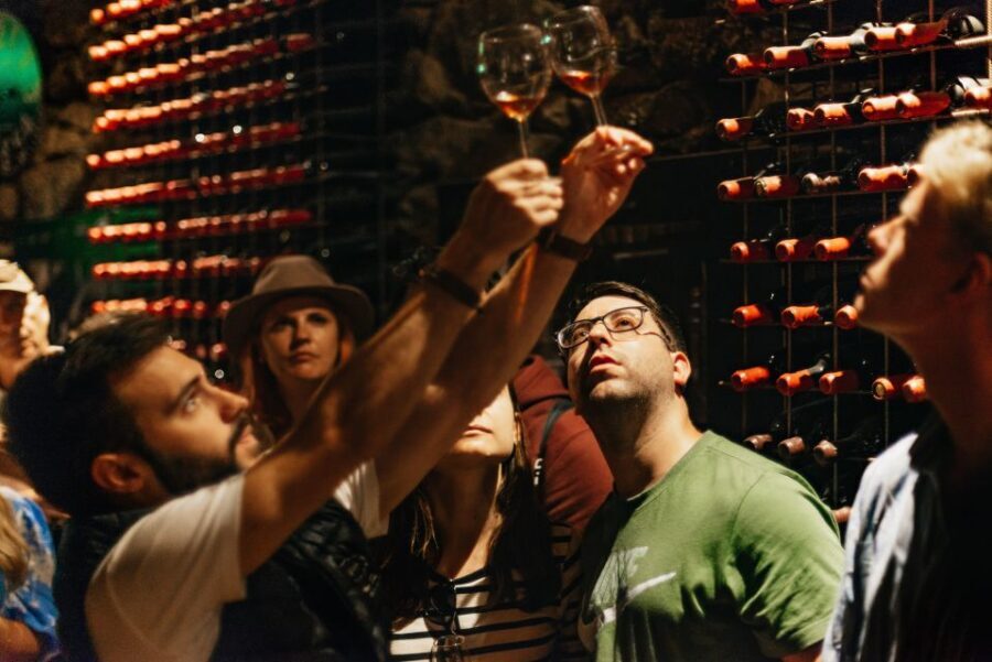 Porto: Douro Valley with Winery Lunch, Tastings & Cruise - One-hour Douro River cruise: what you gain (and what to watch for)