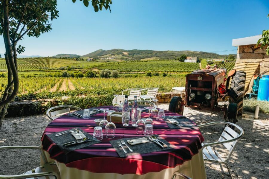Porto: Douro Valley with Winery Lunch, Tastings & Cruise - Premium quinta visit: tasting 3 wines at a prestigious estate