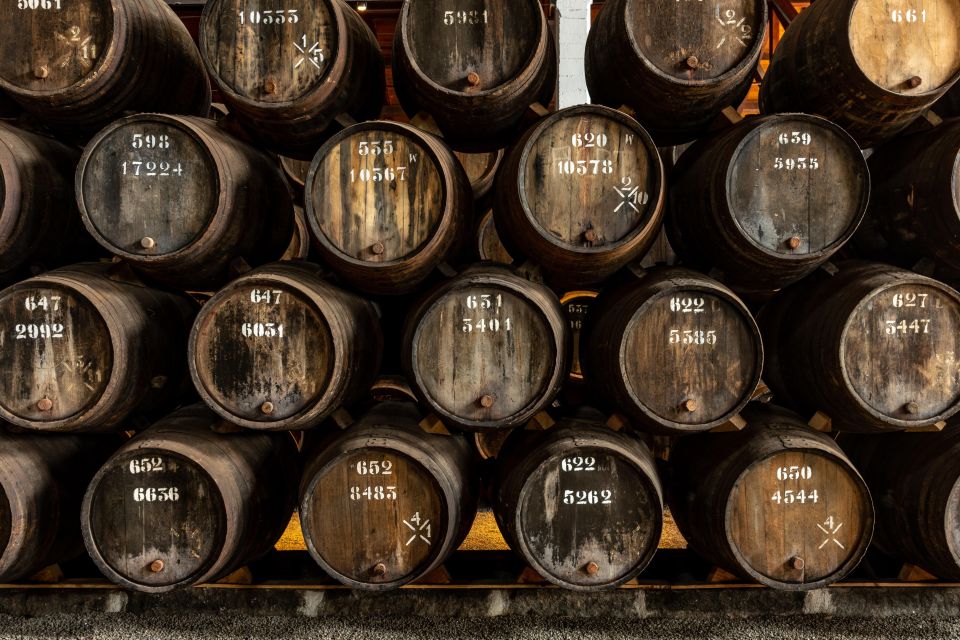 Porto: Taylor's Port Cellars & Tasting - Who should book Taylor’s Port Cellars (and who might not love it)