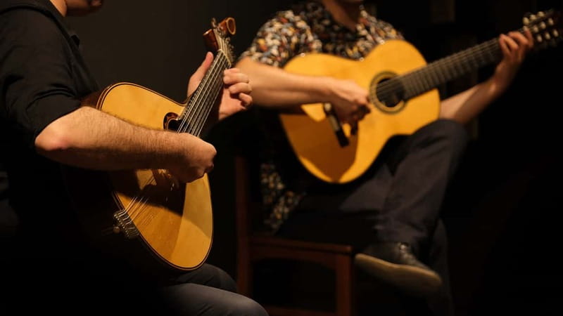 Porto: The highest-rated traditional fado concert (downtown) - The Portuguese guitar moments you should actually listen for