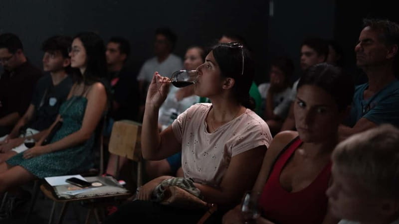 Porto: What is Fado? Commented Live Concert with Port Wine - FAQ