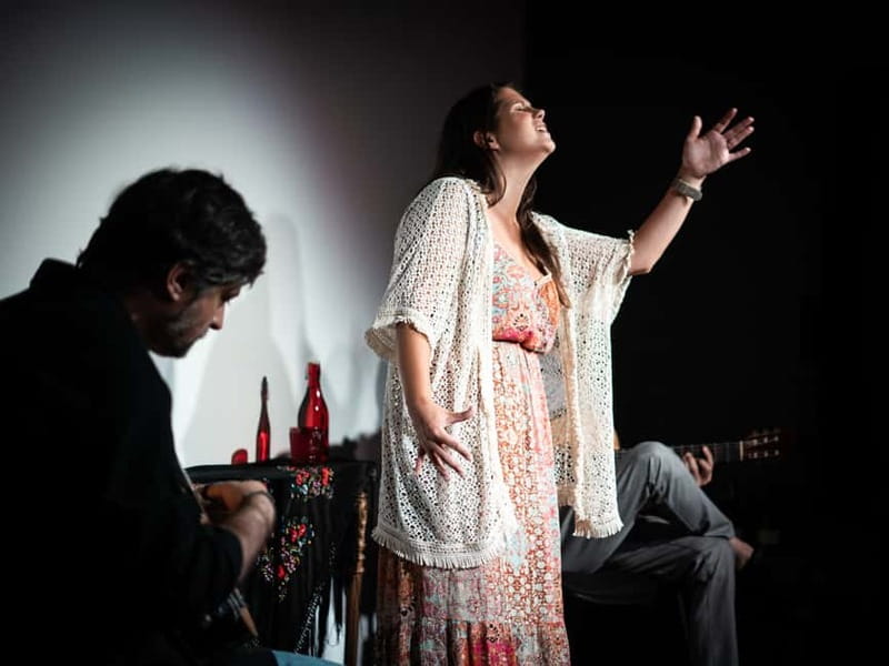 Porto: What is Fado? Commented Live Concert with Port Wine - The 4-Part Show: From Traditional Lisbon to Coimbra Students
