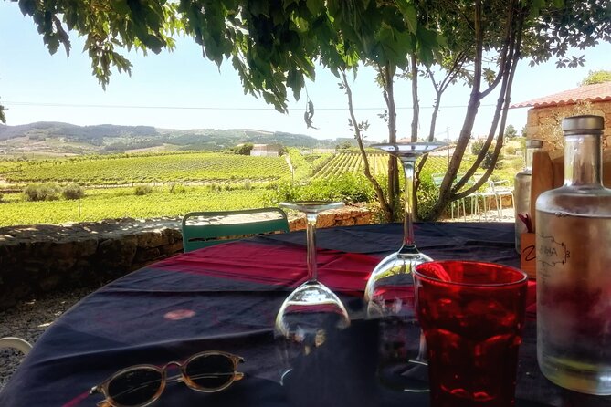 Premium Douro Valley Small-Group Tour, Wine Tasting, Lunch & Boat - Quinta do Panascal: Port Wine Tastings with Vineyard Time