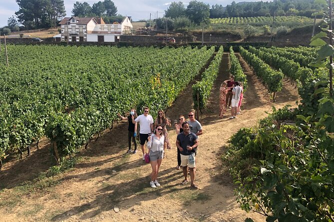 Premium Douro Valley Small-Group Tour, Wine Tasting, Lunch & Boat - Driving Through Pinhão: A Quick Glimpse of Douro Life