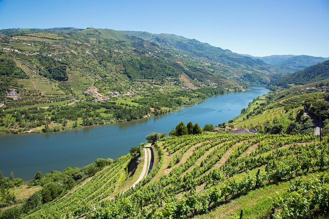 Premium Douro Valley Small-Group Tour, Wine Tasting, Lunch & Boat - Casa dos Barros Lunch: A Winery Meal with Real Choices
