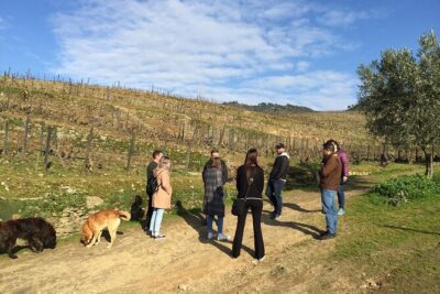 Premium Douro Valley Small-Group Tour, Wine Tasting, Lunch & Boat - The Douro Boat Ride from Pinhão: Your Hour of Fresh Air