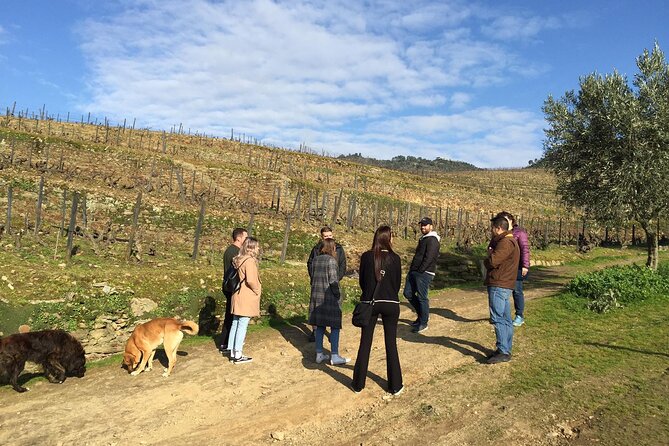 Premium Douro Valley Small-Group Tour, Wine Tasting, Lunch & Boat - The Douro Boat Ride from Pinhão: Your Hour of Fresh Air