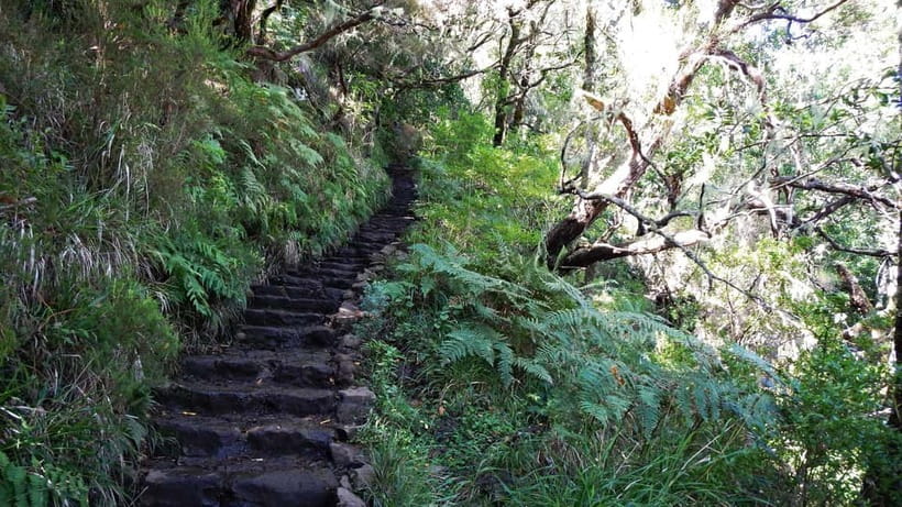 Rabaçal: 25 Fontes & Risco Levada Hiking Transfer - Key highlights to zero in on
