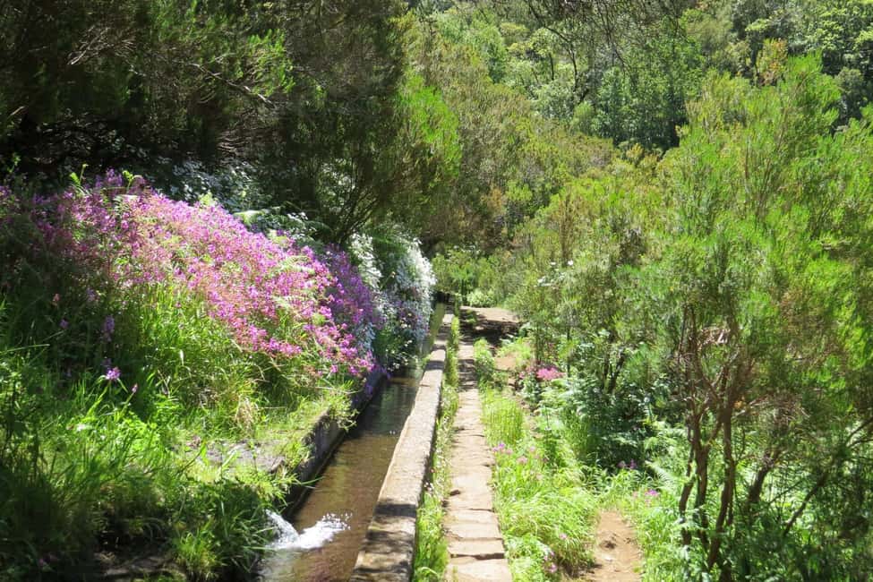 Rabaçal: 25 Fontes & Risco Levada Hiking Transfer - What to bring (so the day stays fun)
