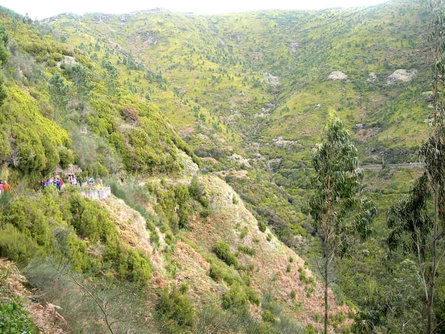 Rabaçal: 25 Fontes & Risco Levada Hiking Transfer - Entering Madeira’s Levada World: why this hike pairing works