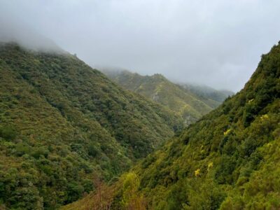 Rabaçal: 25 Fontes & Risco Levada Hiking Transfer - Price and logistics: what you’re really paying for