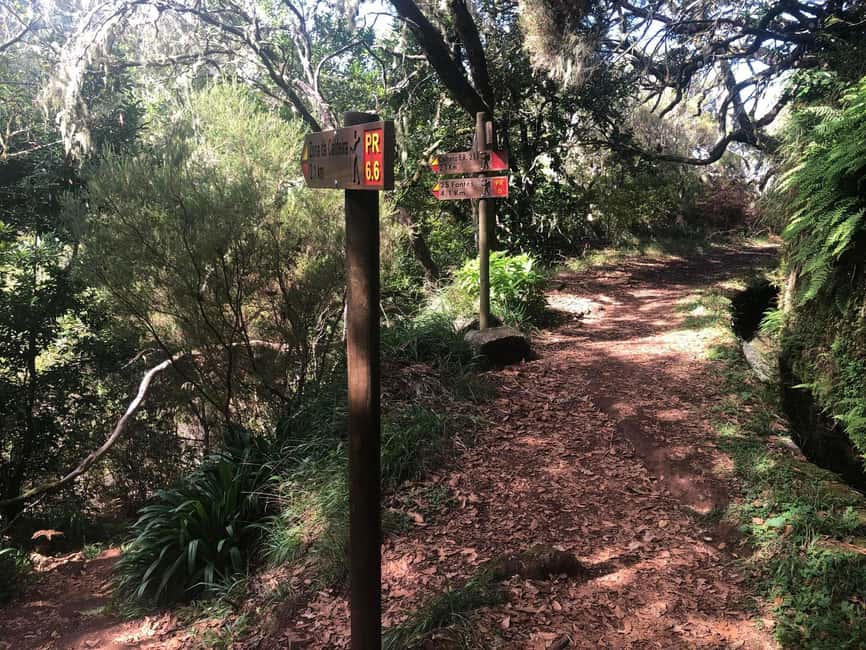 Rabaçal: 25 Fontes & Risco Levada Hiking Transfer - Self-guided, not self-stuck: your briefing and how you stay on track