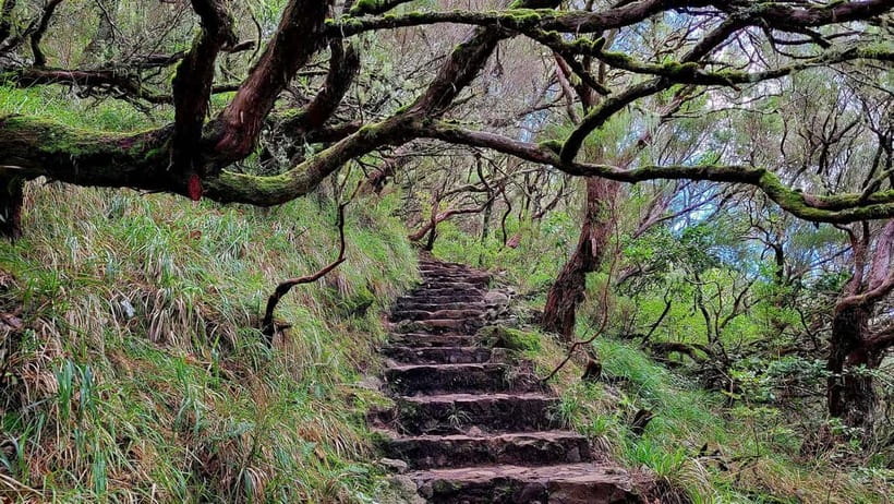 Rabaçal: 25 Fontes & Risco Levada Hiking Transfer - The 5-hour circuit: what the walk feels like hour by hour