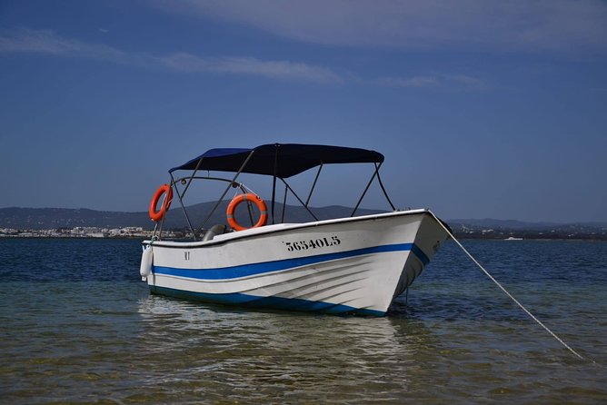 Ria Formosa - Boat trip to the 3 Islands: Armona | Culatra Island | Lighthouse - Price and what you actually get for $48.25