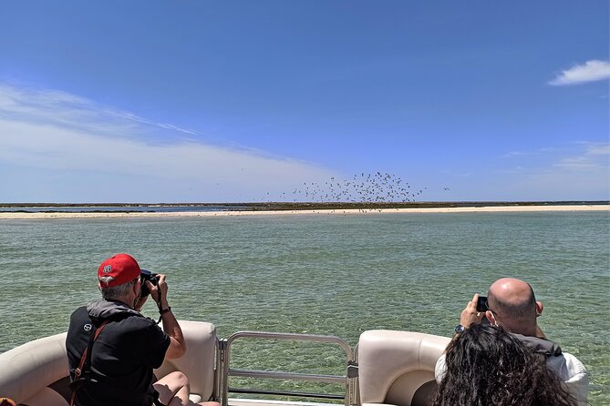 Ria Formosa Natural Park and Islands Boat Cruise from Faro - Entering Ria Formosa: why this lagoon feels special from Faro