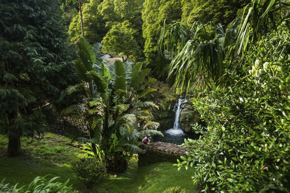 São Miguel East: Full-Day Van Tour with Lunch - Furnas Caldera Viewpoints: The Heat Opens Into Big Views