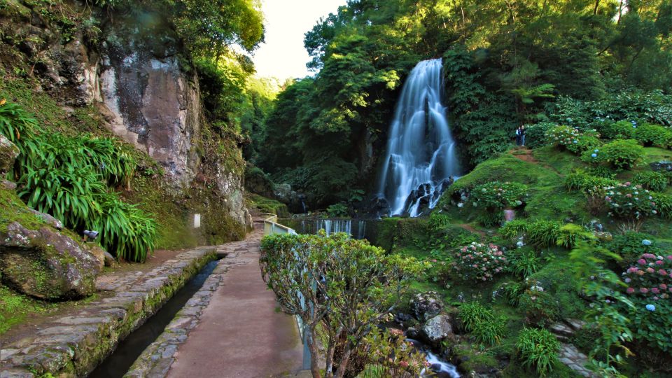São Miguel East: Full-Day Van Tour with Lunch - Nordeste: Cliffs, Pastures, and an Old Whale Lookout