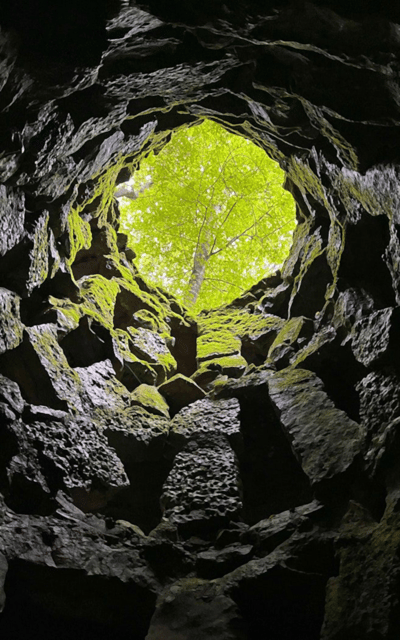Sintra: Quinta da Regaleira Skip-the-Line Ticket - Your 1 to 3 hour self-guided flow (smart start for the best experience)